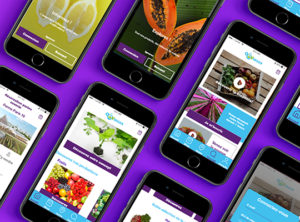 mockup application o2 verger